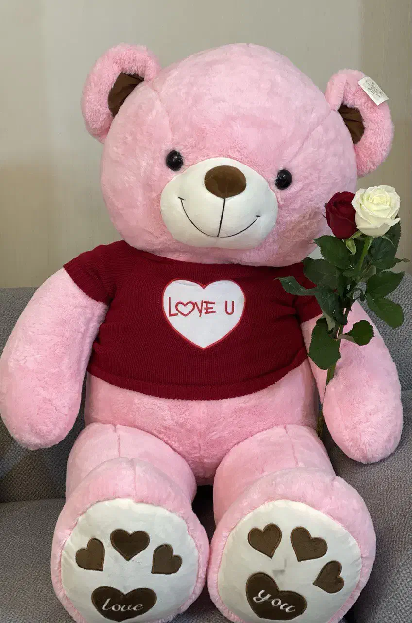 عروسک خرس صورتی|اسباب‌‌بازی|بابلسر, |دیوار