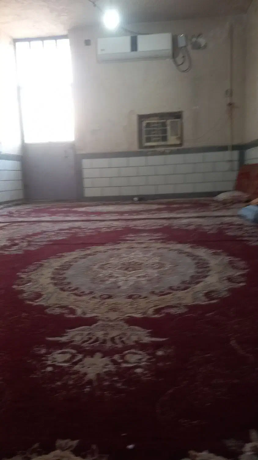 2 عدد قالی و ۱ عدد گلیم|فرش|ایذه, |دیوار