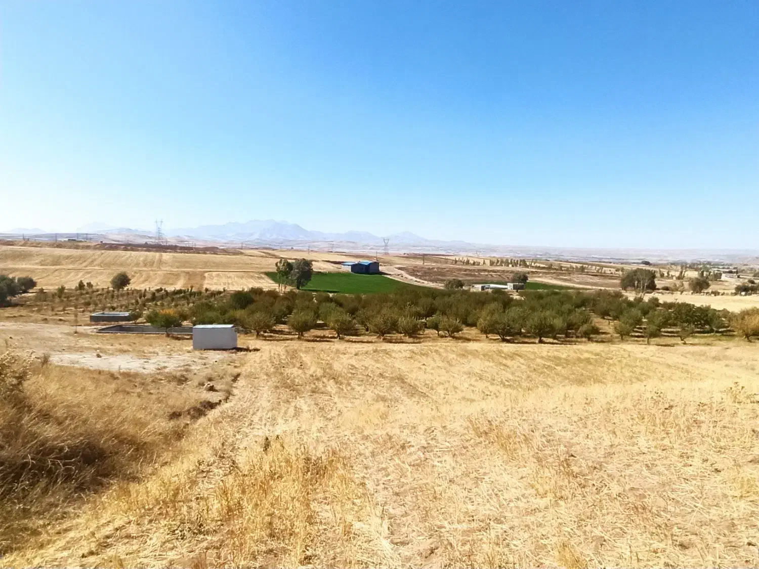 فروشباغ|فروش زمین و ملک کلنگی|تیکمه داش, |دیوار