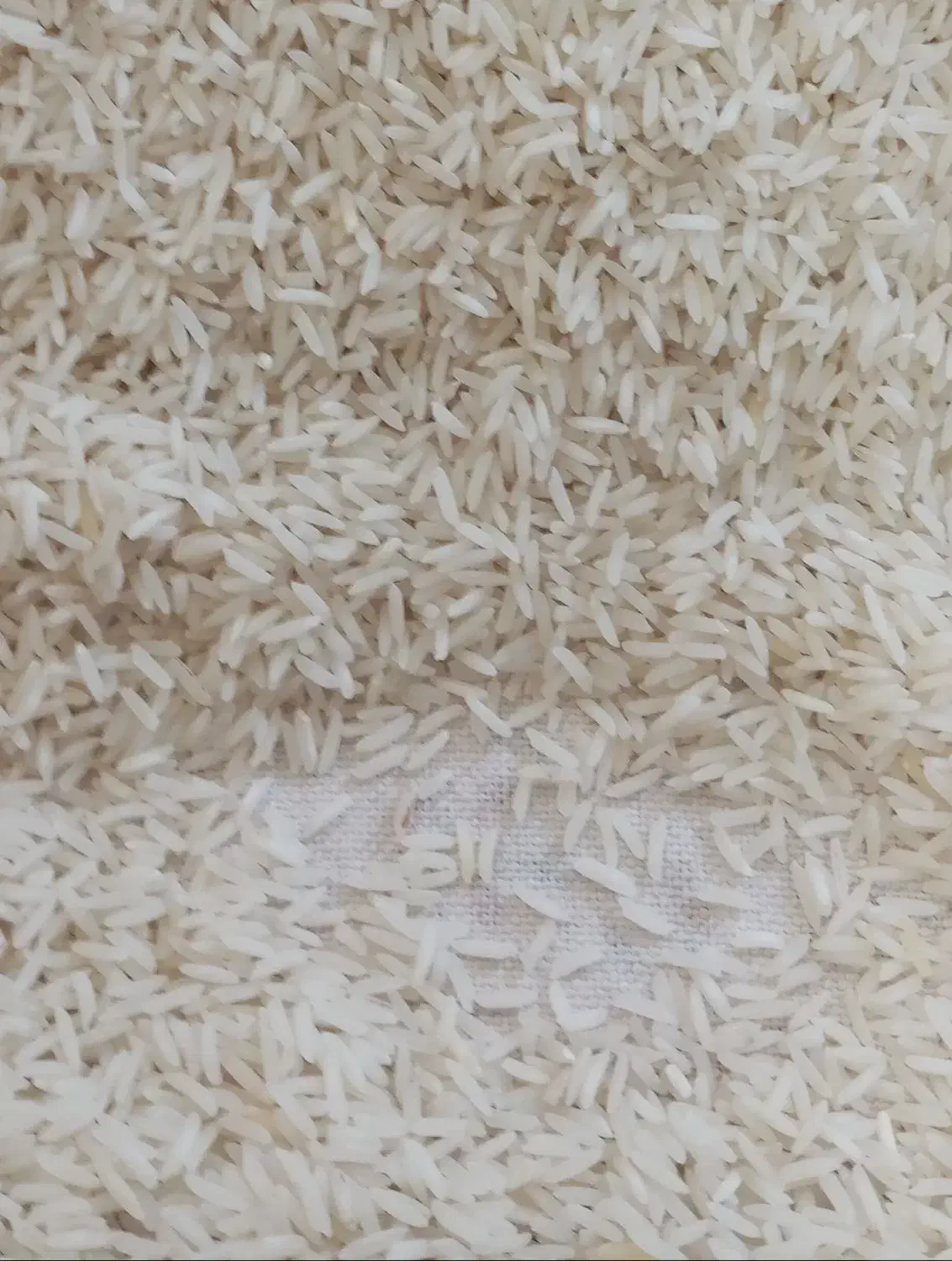 برنج|خوردنی و آشامیدنی|آزادشهر, |دیوار