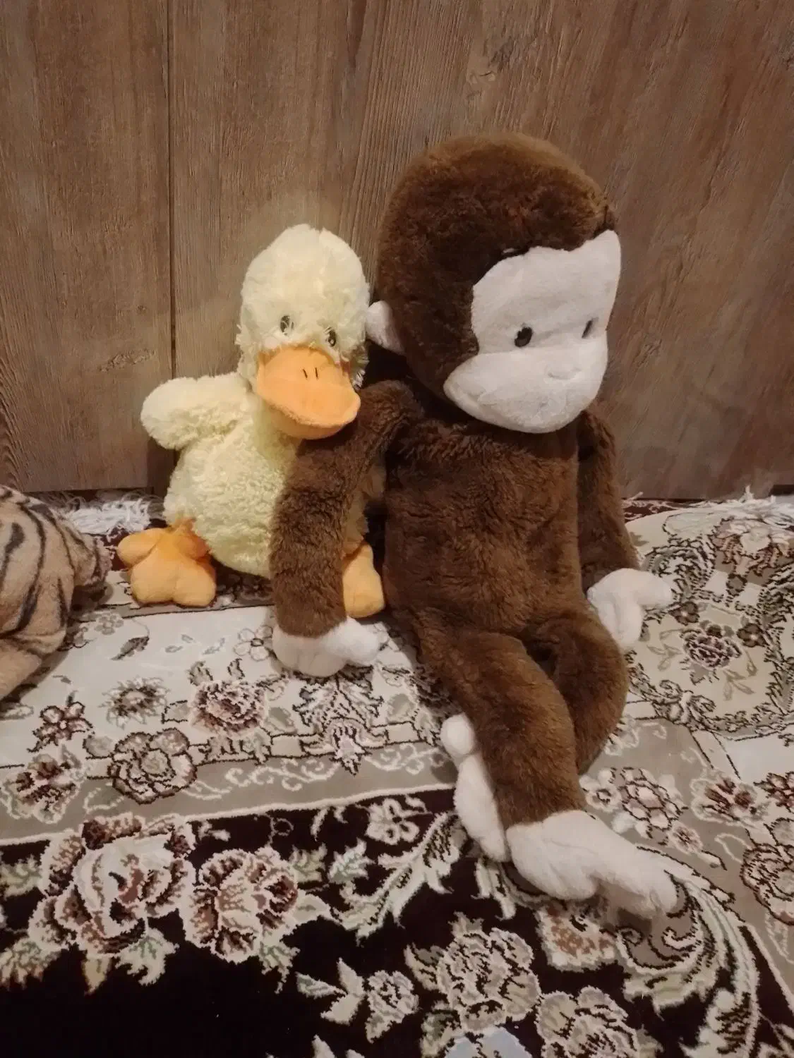 عروسک|اسباببازی|تبریز, |دیوار