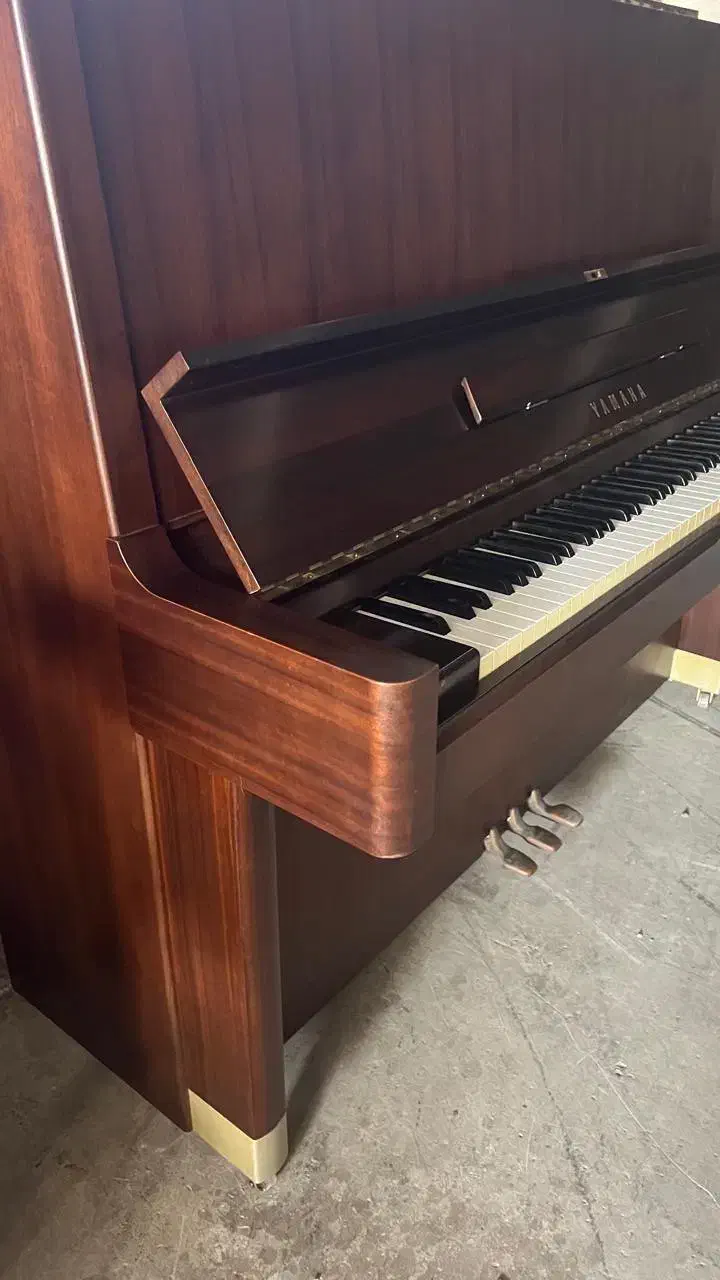 پیانو|پیانو، کیبورد، آکاردئون|شیراز, حومه شیراز|دیوار