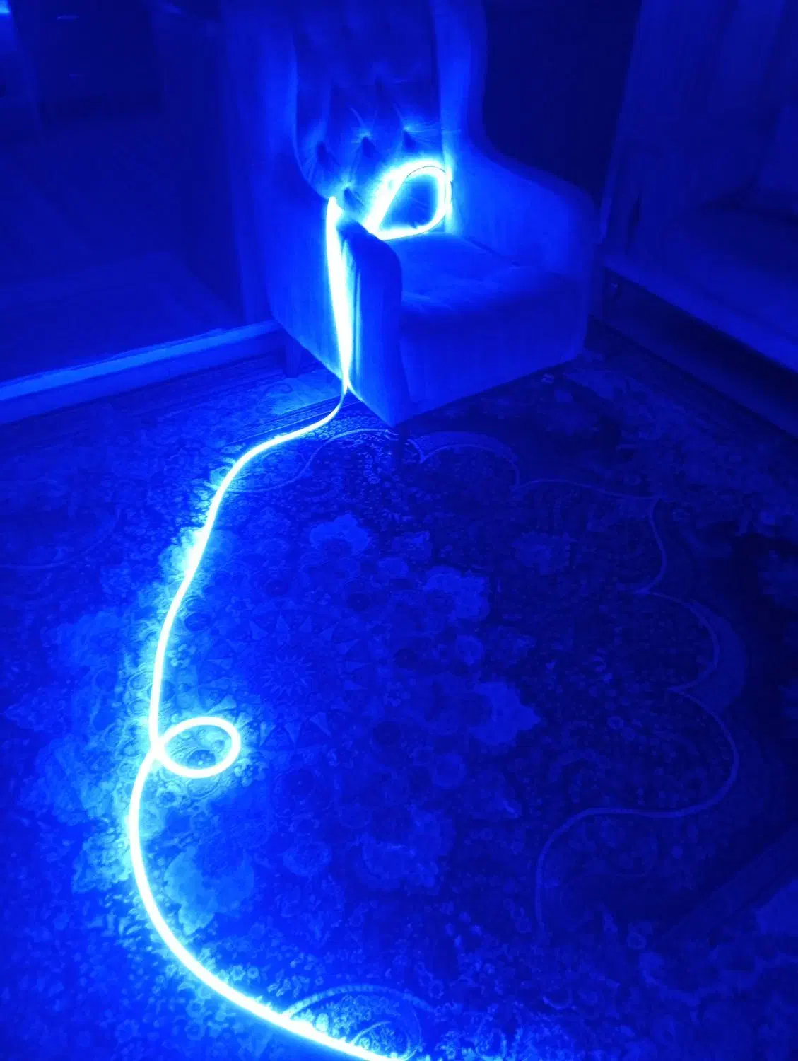 چراغ LED220|ریسه و چراغ تزئینی|قدس, شهر‌قدس|دیوار