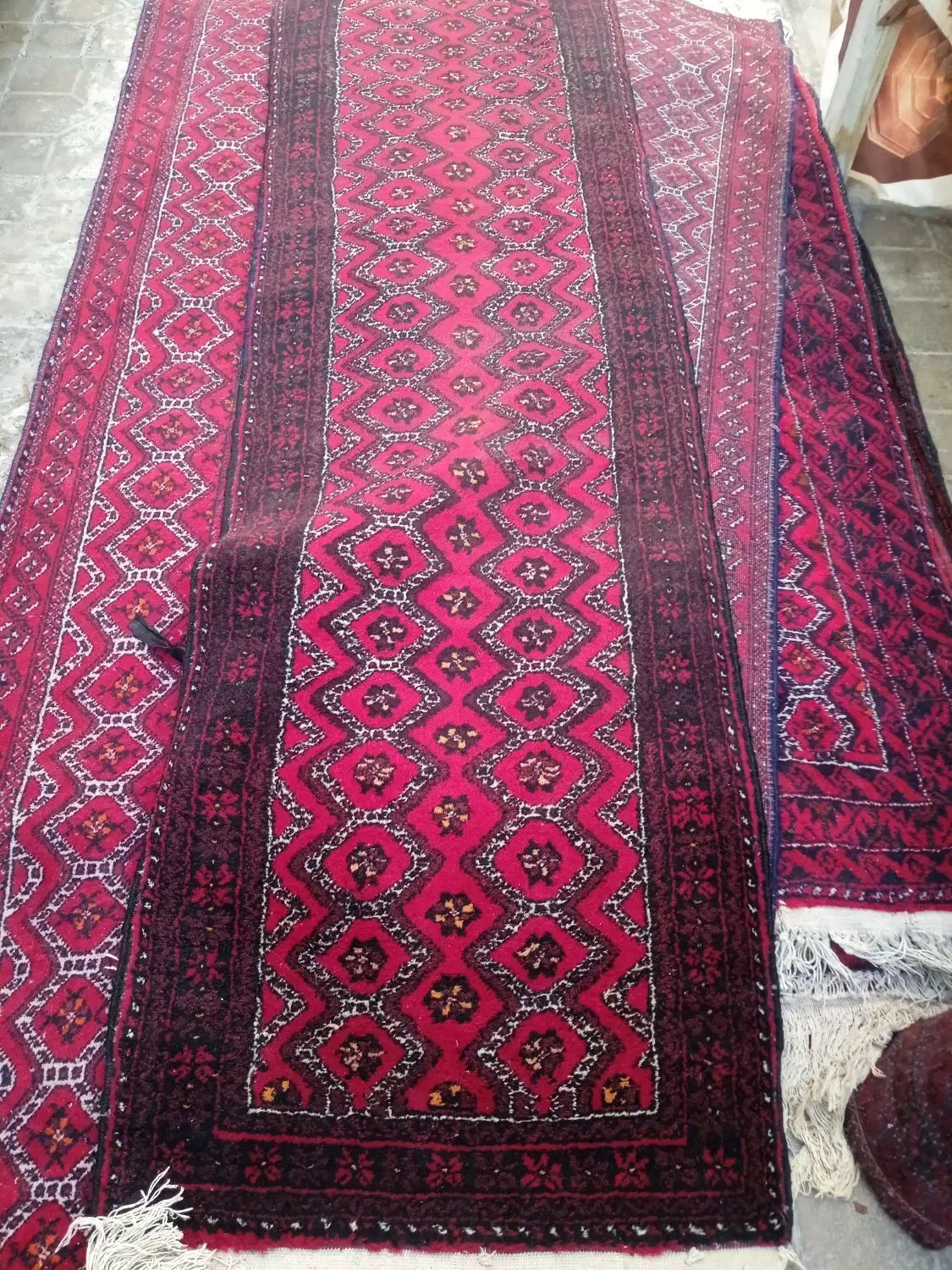 قالیچه دستباف نو|فرش|تربتحیدریه, مظفریه|دیوار