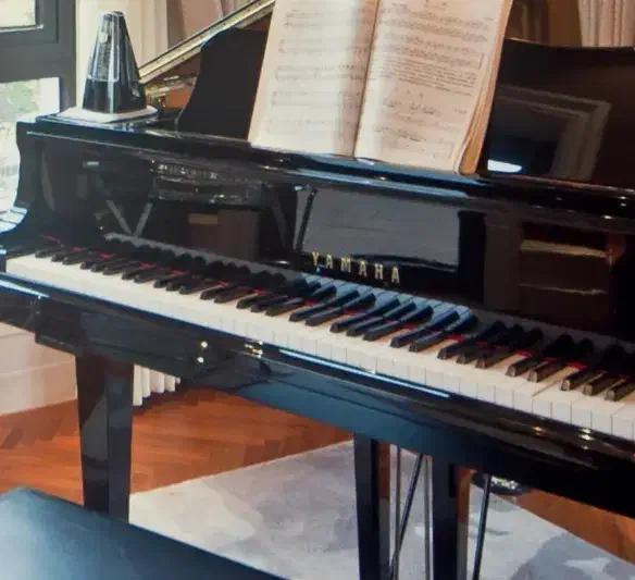 برنامه برای کیبورد شما فقط ۸۵۰ تومن|پیانو، کیبورد، آکاردئون|کرمانشاه, |دیوار