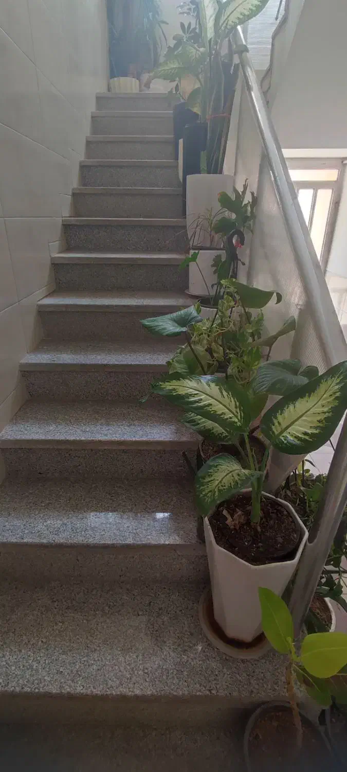 منزل اجاره ای سه خوابه|اجارهٔ خانه و ویلا|شیراز, مسلم|دیوار