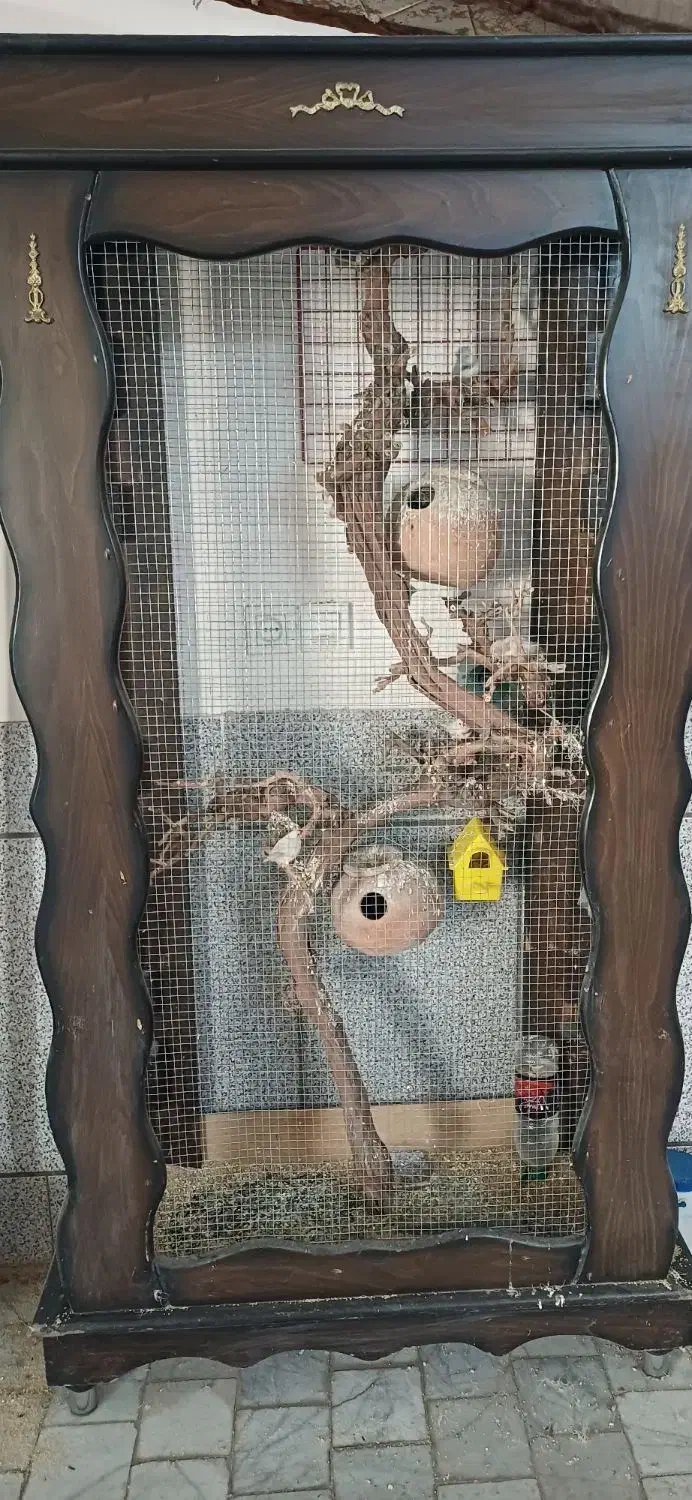 قفس بزرگ پرنده کاشمر|لوازم جانبی حیوانات|کاشمر, |دیوار