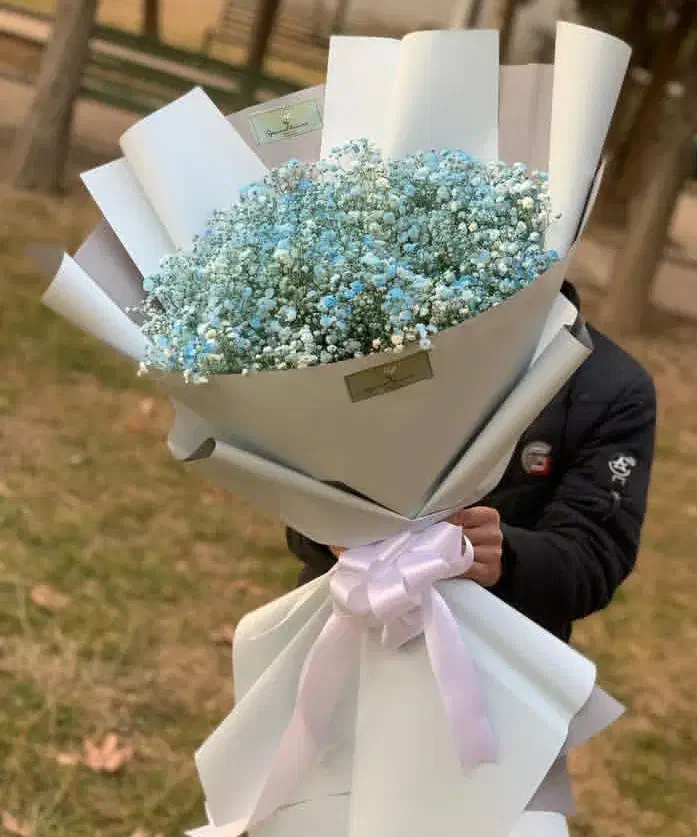 دسته گل ژیپسوفیلا|گل و گیاه طبیعی|چهاردانگه (تهران), |دیوار