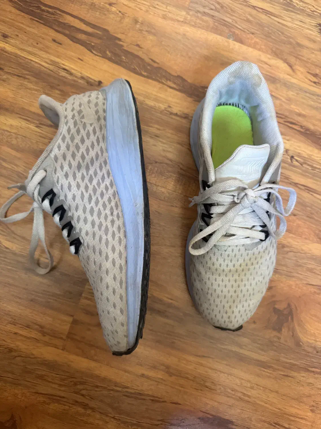 کفش اسنیکر رایگان|کیف، کفش، کمربند|شیراز, دینکان|دیوار