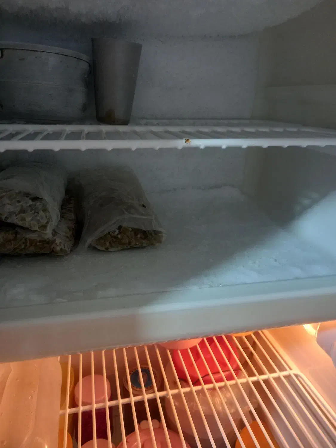 یخچال وفریزر|یخچال و فریزر|بروجرد, |دیوار