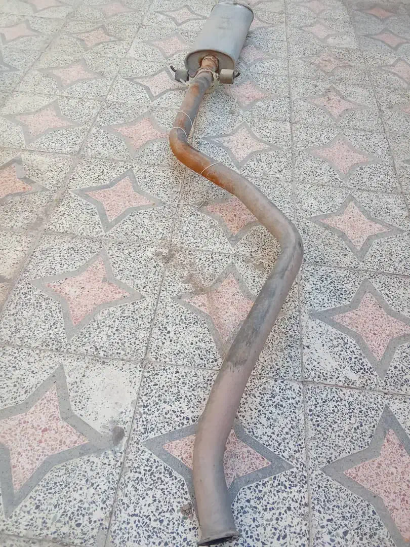 خرگوش لپ هلندی|موش و خرگوش|ایرانشهر, |دیوار