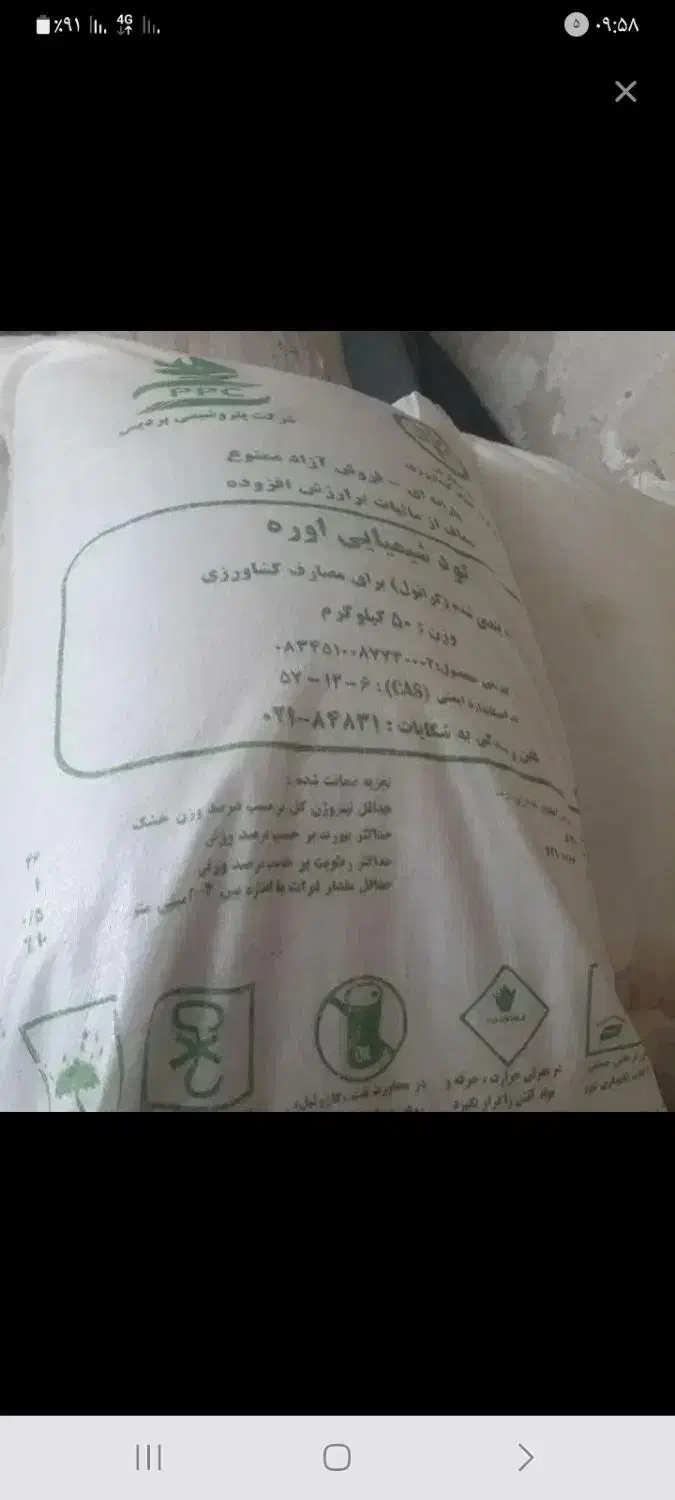 کودسفید|خدمات باغبانی و درختکاری|کوهدشت, |دیوار