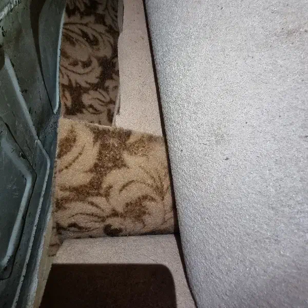 موکت ارزان درحد نو|موکت|مشهد, نوید|دیوار