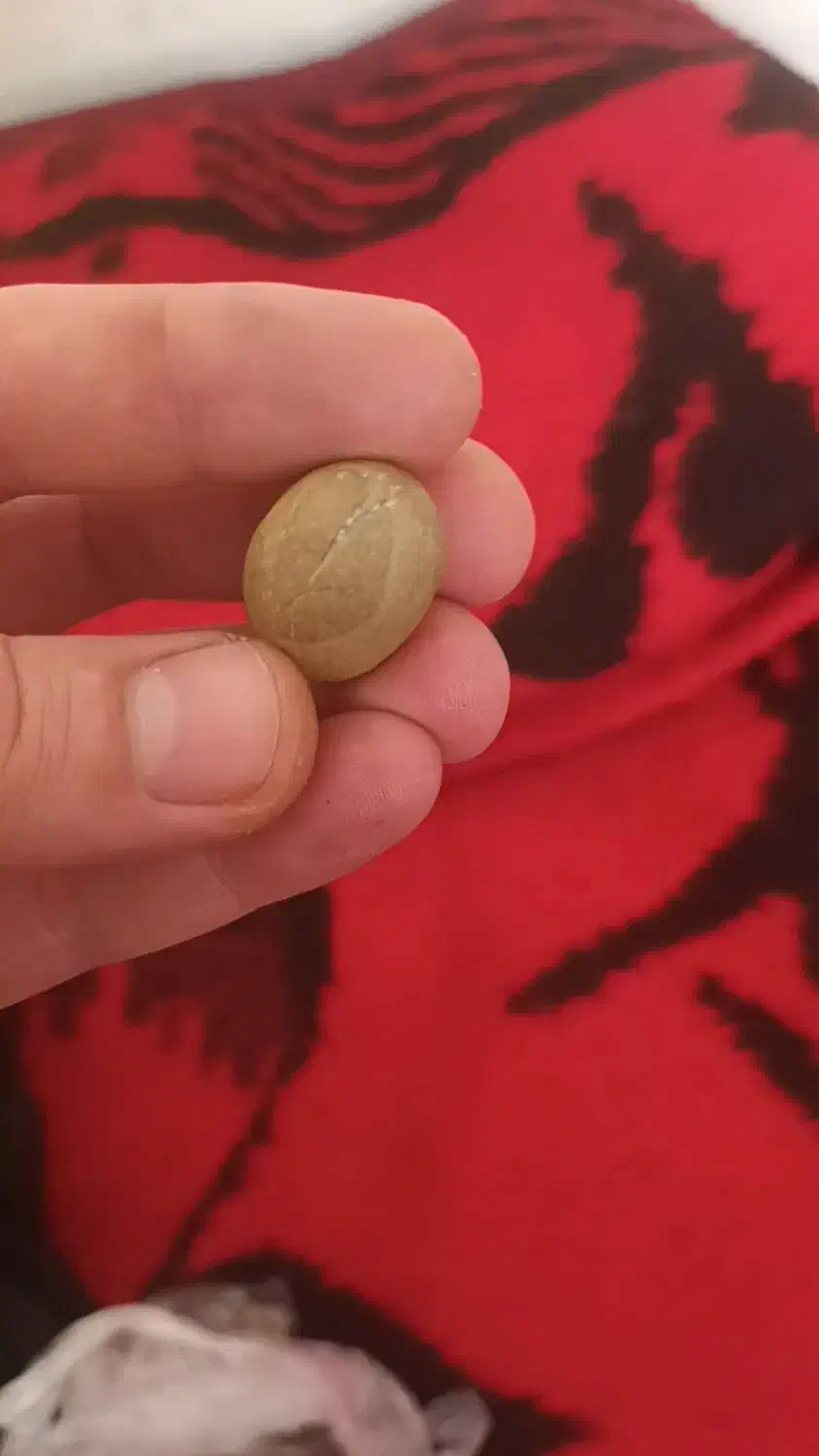 سنگ قیمتی|کلکسیون اشیاء عتیقه|مشگین شهر, |دیوار