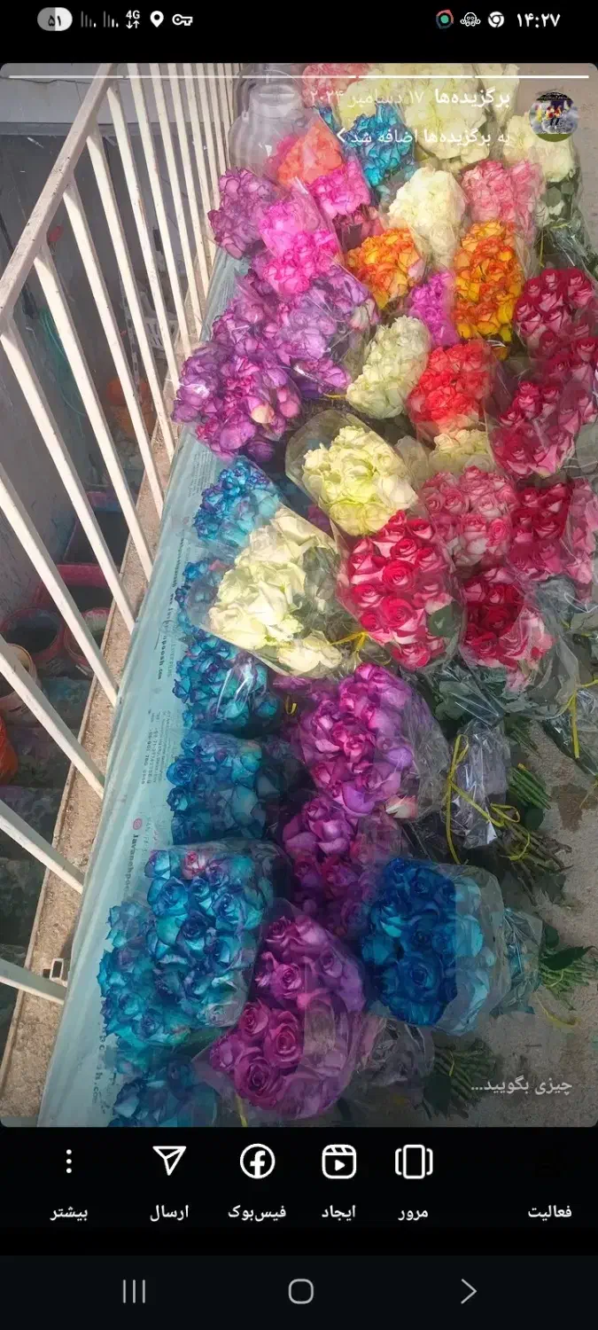 گل رزونرگس گل مریم گل کلایل|گل و گیاه طبیعی|بهبهان, |دیوار