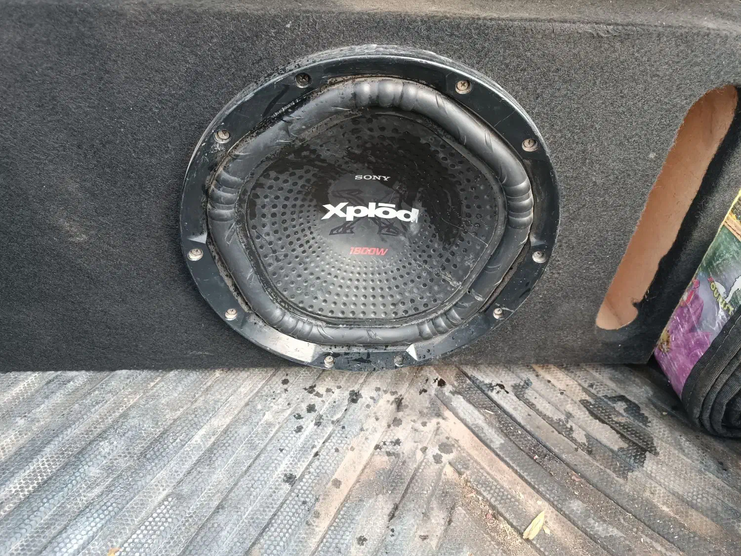 سیستم صوتی حرفه ای|صوتی و تصویری|صوفیان, |دیوار