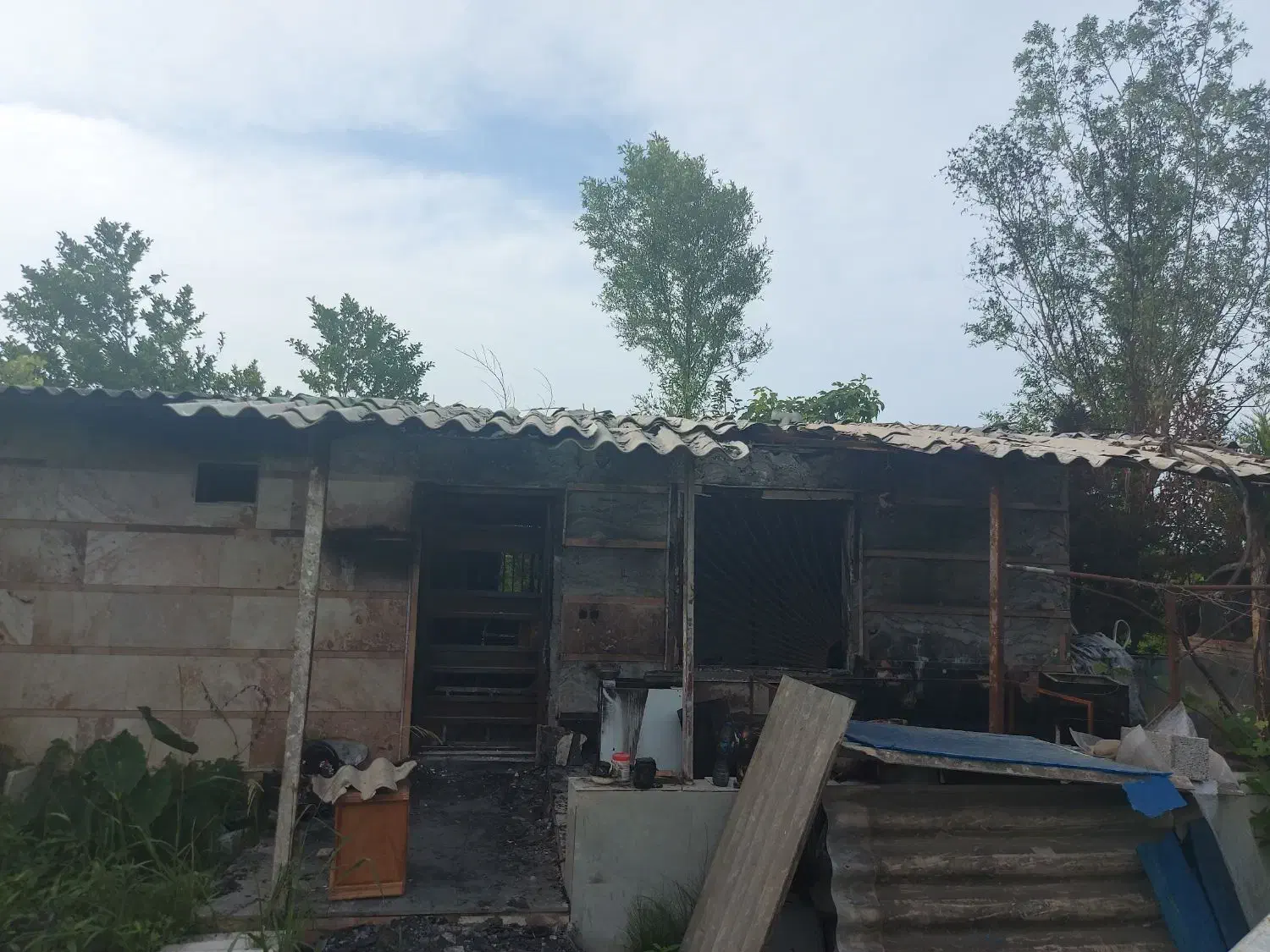 ۲۴۰۰متر باغ درشمال مازندران نشتارود کترا|فروش زمین و ملک کلنگی|نشتارود, |دیوار