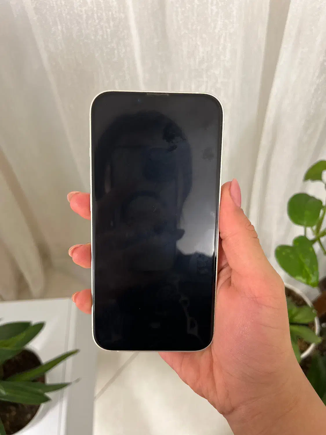 ایفون13نرمال|موبایل|مشهد, الهیه|دیوار