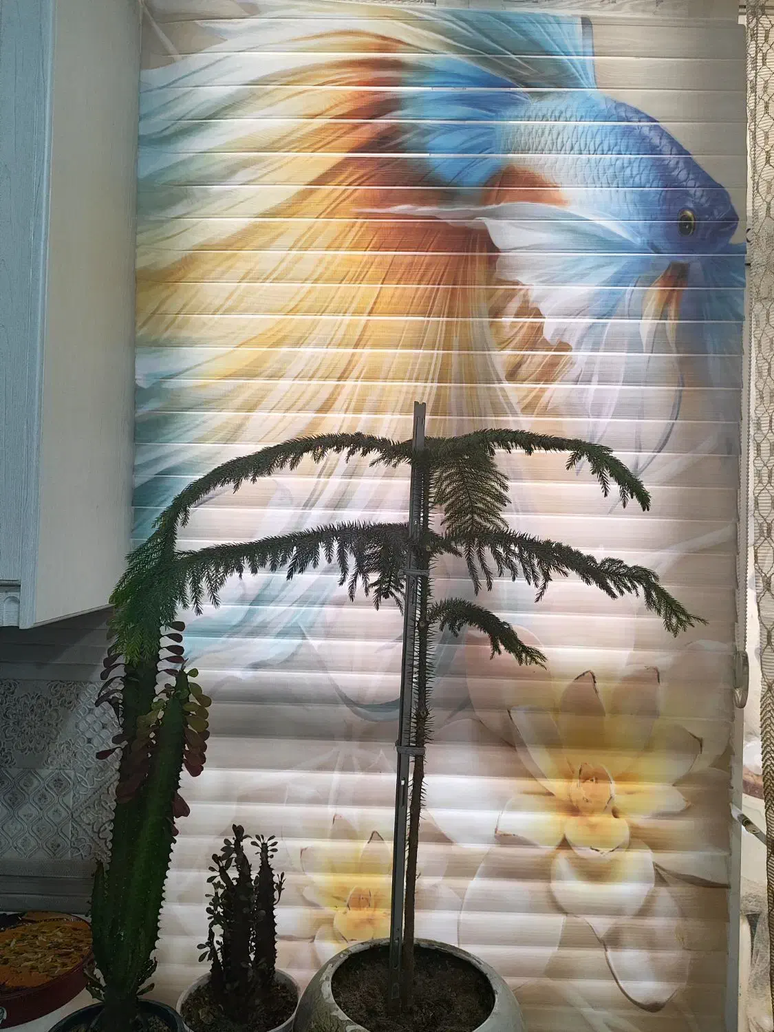 پرده زبرا|پرده، رانر، رومیزی|ساوه, |دیوار