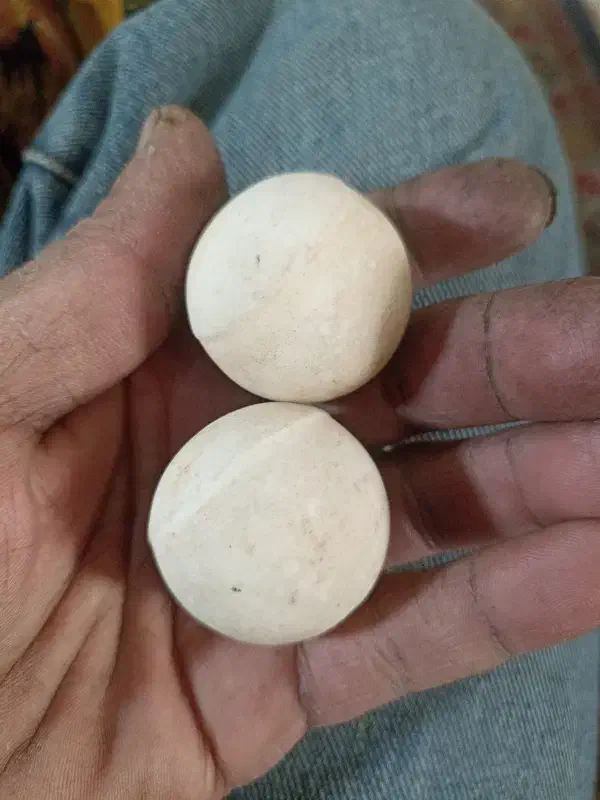 سنگ اسیاب|جواهرات|یزد, |دیوار