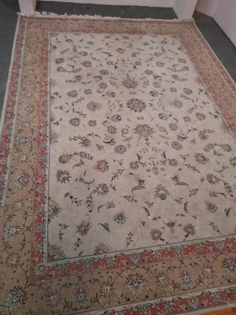 فرش|فرش|مشهد, بهشت|دیوار