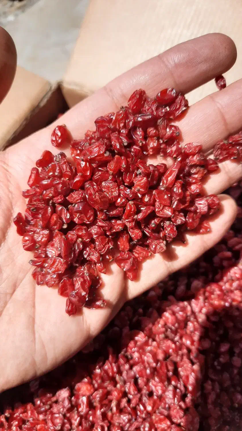 زرشک قائنات|خدمات پذیرایی، مراسم|قائن, |دیوار