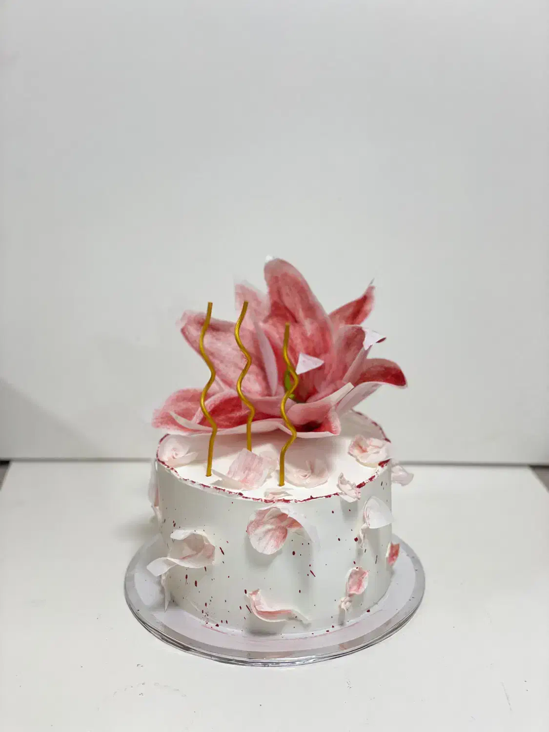 کیک و شیرینی خانگی|خوردنی و آشامیدنی|اهواز, سپیدار|دیوار