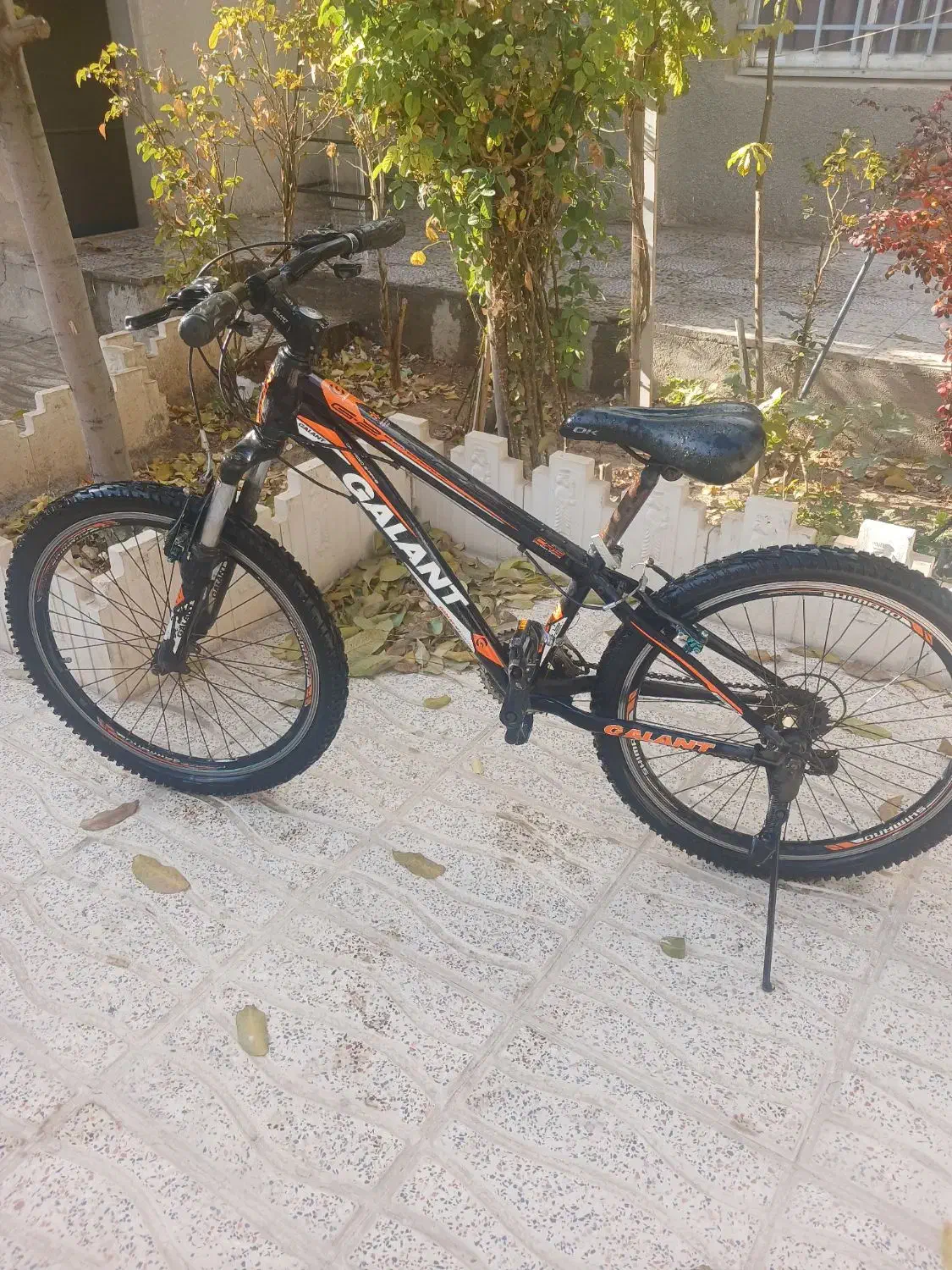 دوچرخه سایز ۲۴ دنده کلاجی لاستیک نو کبودرآهنگ|دوچرخه، اسکیت، اسکوتر|همدان, |دیوار