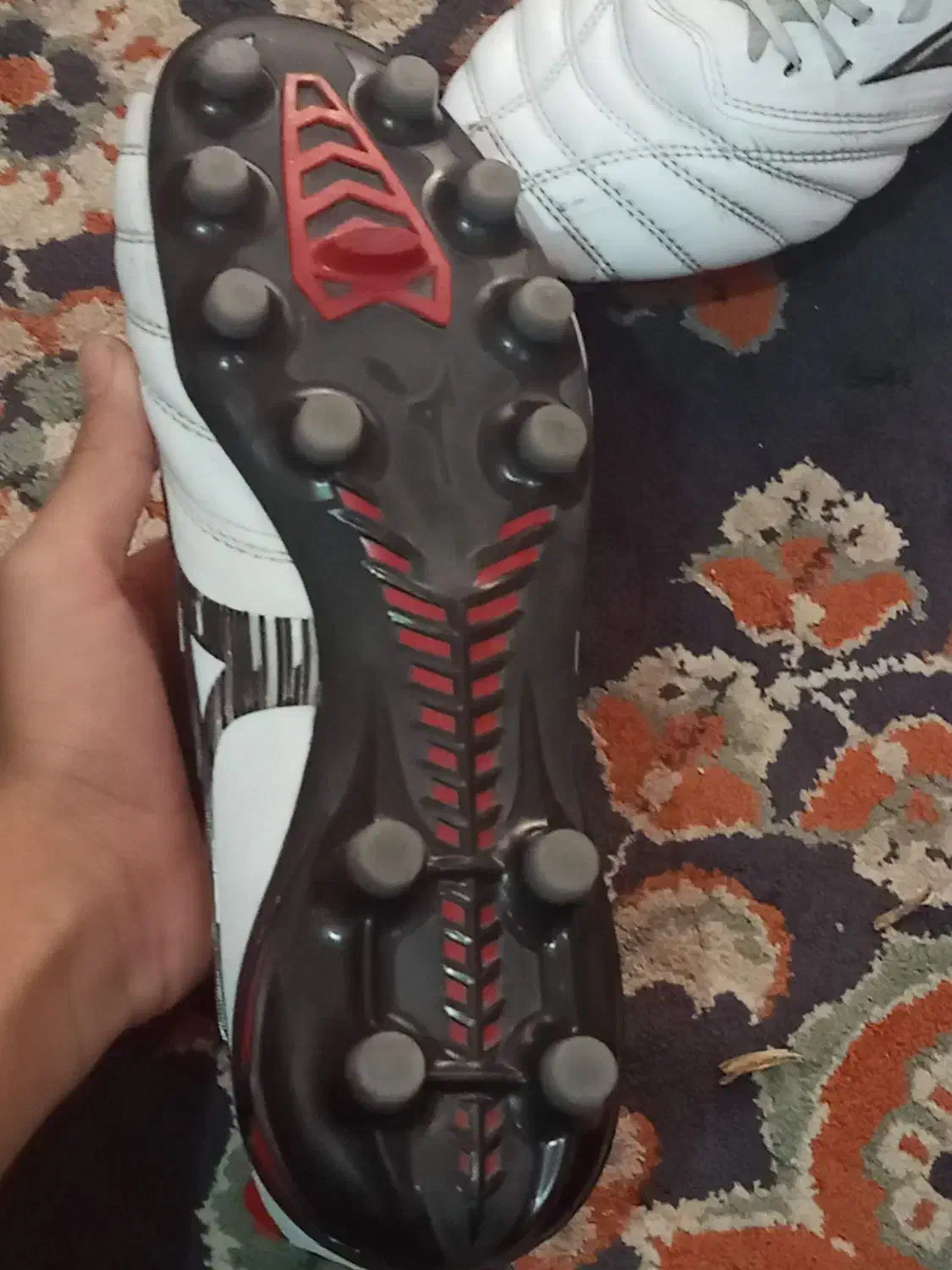 کفش استوک|کیف، کفش، کمربند|دوگنبدان, |دیوار