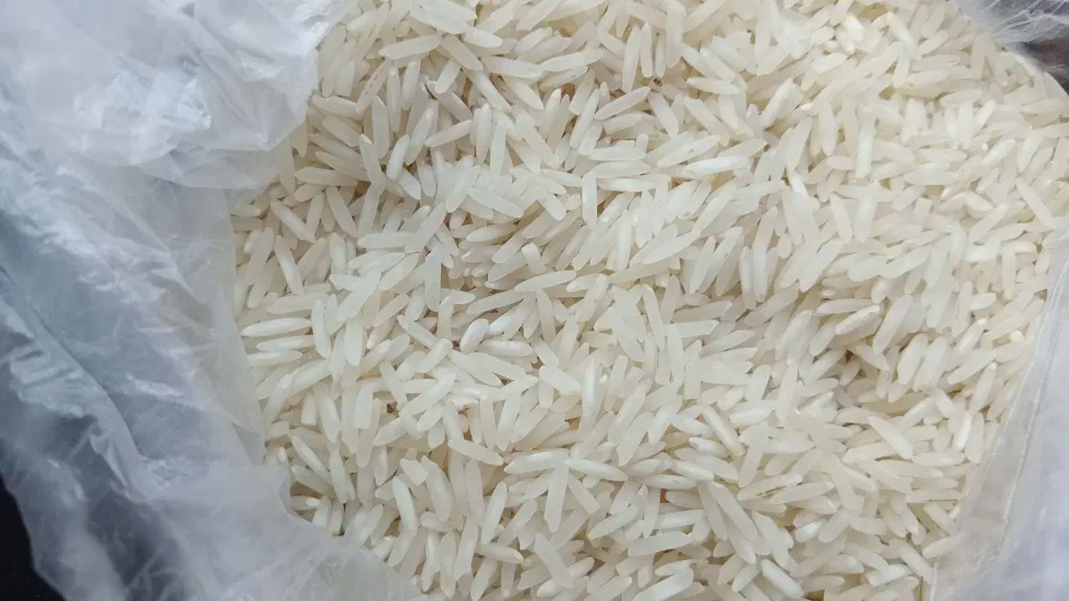 برنج هاشمی طلایی|خوردنی و آشامیدنی|خمام, |دیوار