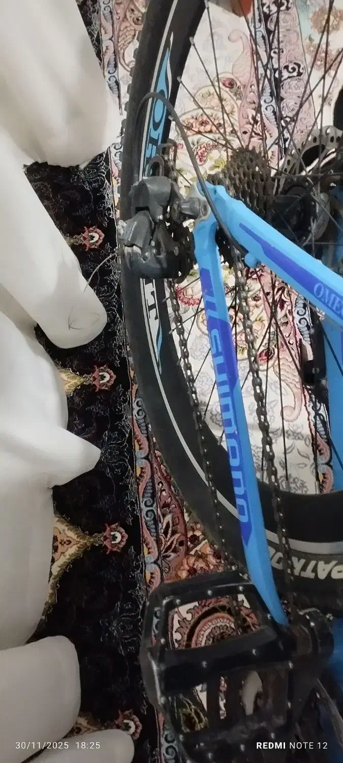 دوچرخه 29|دوچرخه، اسکیت، اسکوتر|دوگنبدان, |دیوار