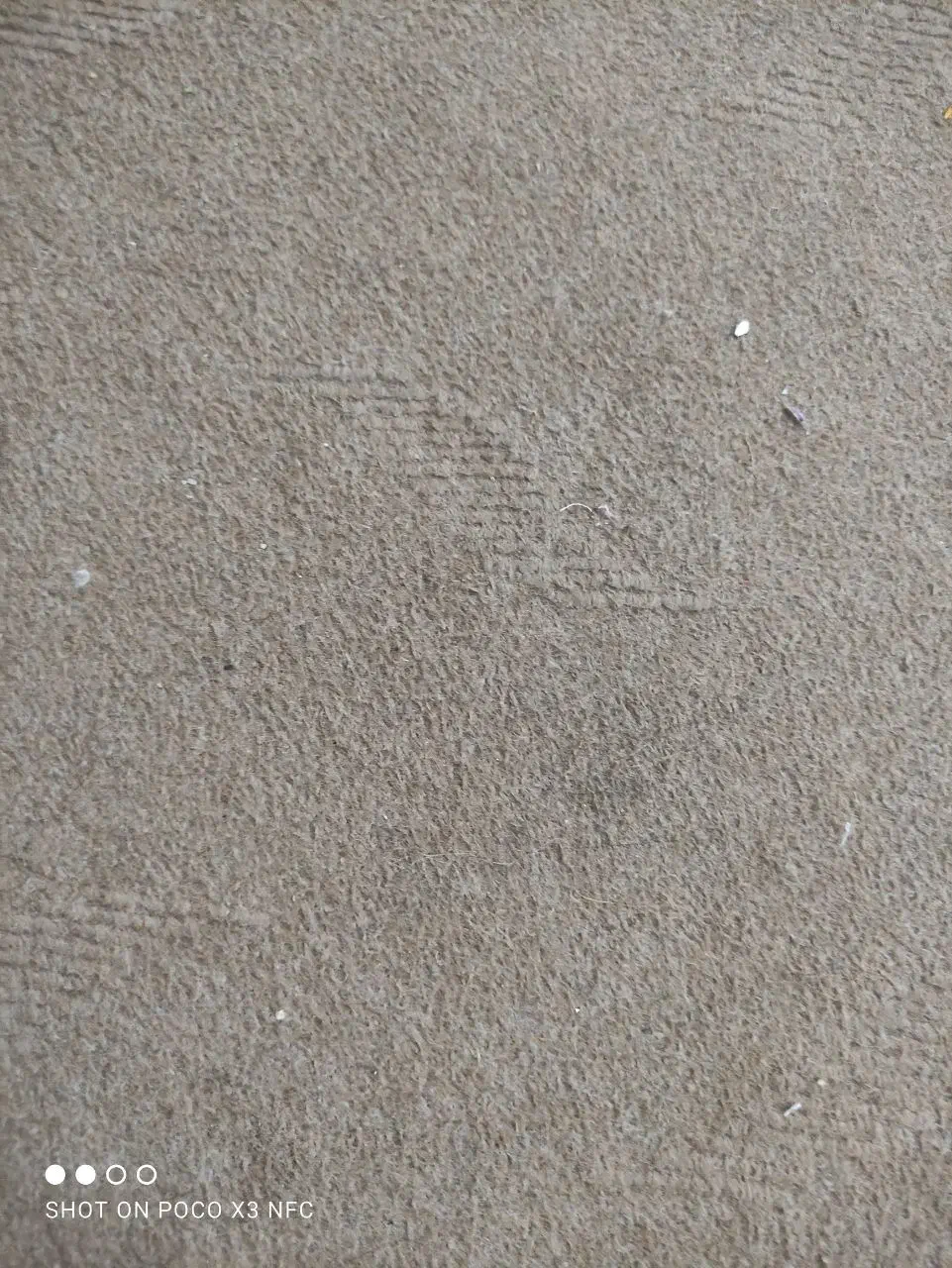 موکت|موکت|سبزوار, فقیه سبزواری|دیوار