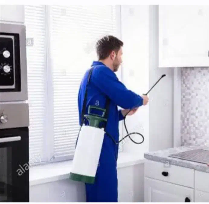 سمپاشی تمامی مناطق قم سم پاشی سوسک.ساس.موریانه|خدمات نظافت|قم, جهان بینی|دیوار