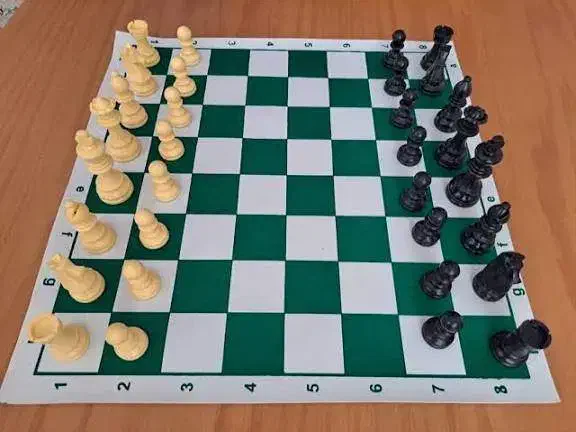 تدریس خصوصی شطرنج و دروس مدرسه|خدمات آموزشی|شیراز, زرهی|دیوار