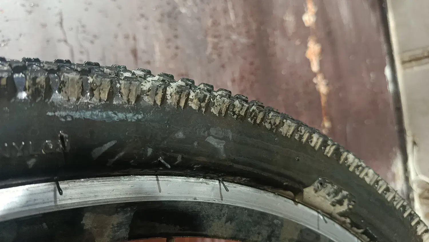 دوچرخه ویوا|دوچرخه، اسکیت، اسکوتر|چهارباغ, |دیوار