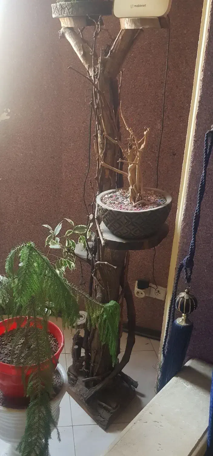 درخت خشک شده طبیعی دکوری قد ۱۷۵|گل و گیاه طبیعی|تهران, آهنگران (سراسیاب دولاب)|دیوار