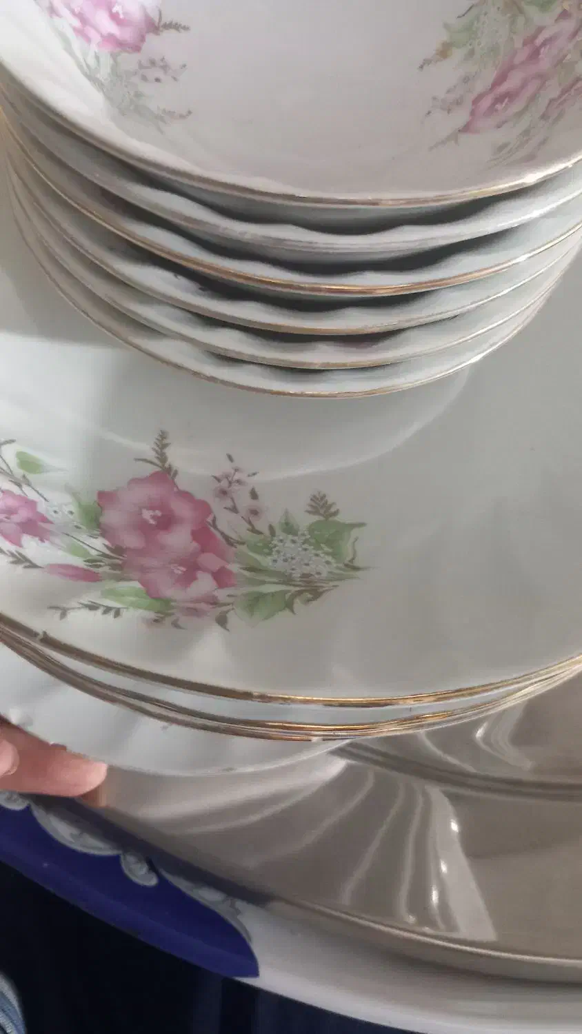 ظروف اشپزخانه|ظروف سرو و پذیرایی|کرج, حصار|دیوار