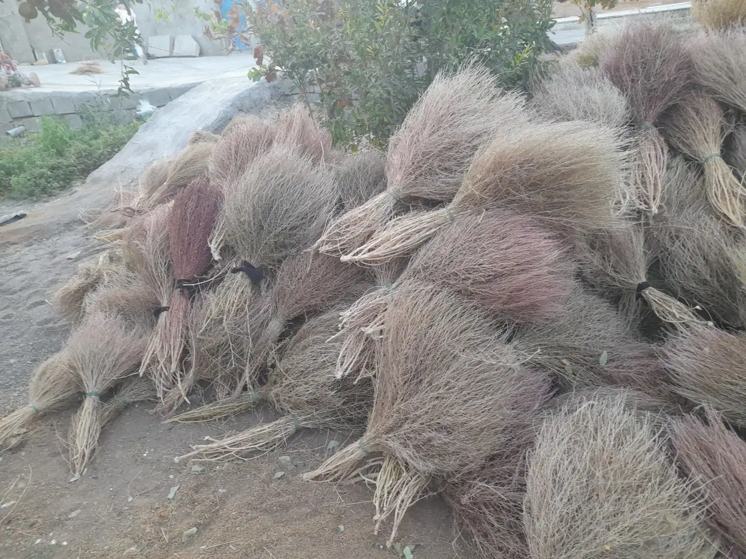 جارو|لوازم نظافت|سبزوار, توحیدشهر|دیوار