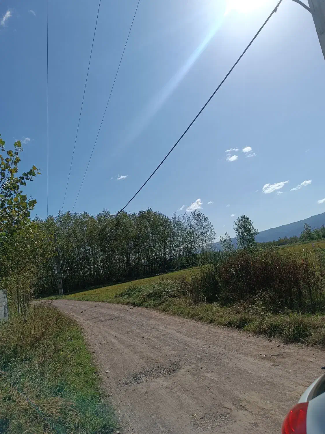 5 هزار متر زمین شالیزار/مکانیزه در لفمجان|فروش دفتر صنعتی، کشاورزی، تجاری|لاهیجان, لفمجان|دیوار