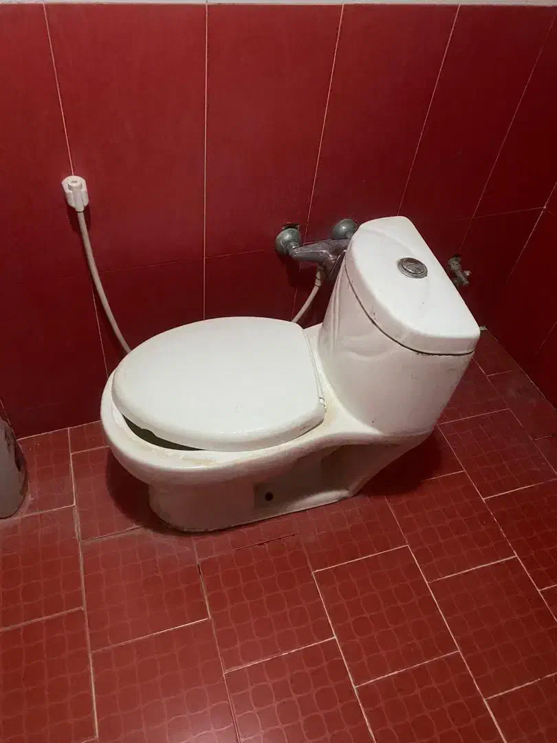 توالت فرنگی|لوازم سرویس بهداشتی|اردبیل, |دیوار