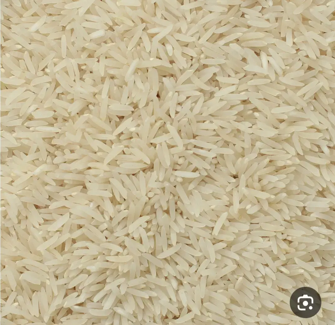 برنج عنبر بو اهواز|خوردنی و آشامیدنی|صدرا-فارس, فاز ۱|دیوار