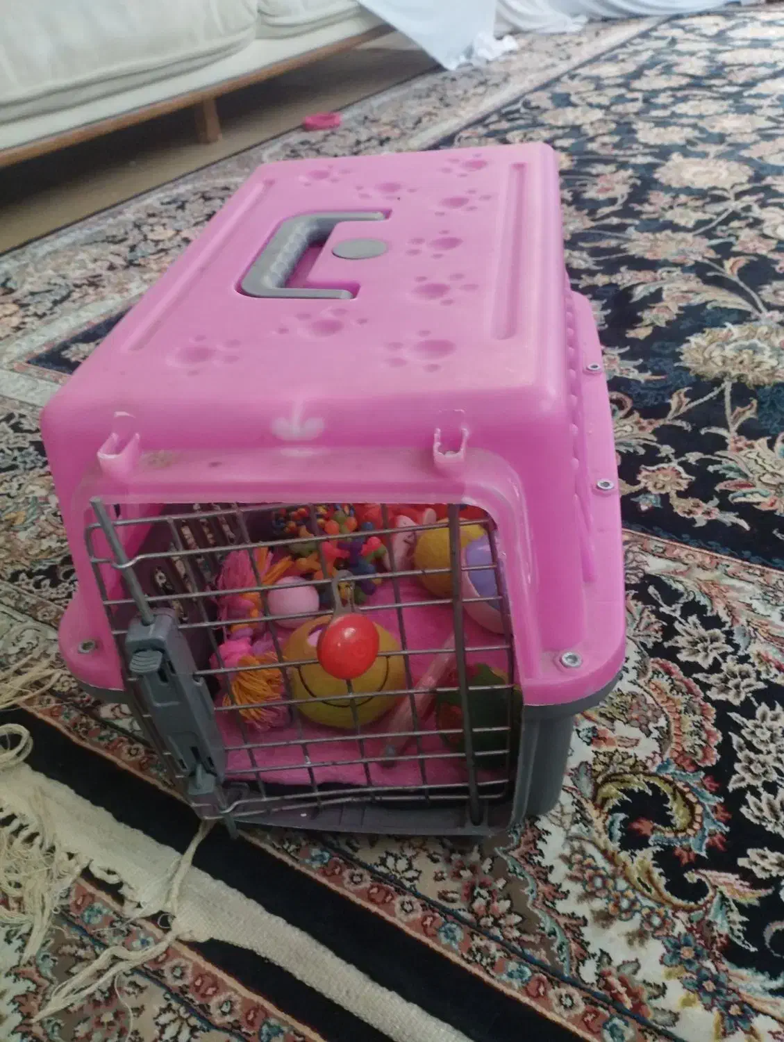 وسایل سگ|لوازم جانبی حیوانات|تهران, مهران (سیدخندان)|دیوار