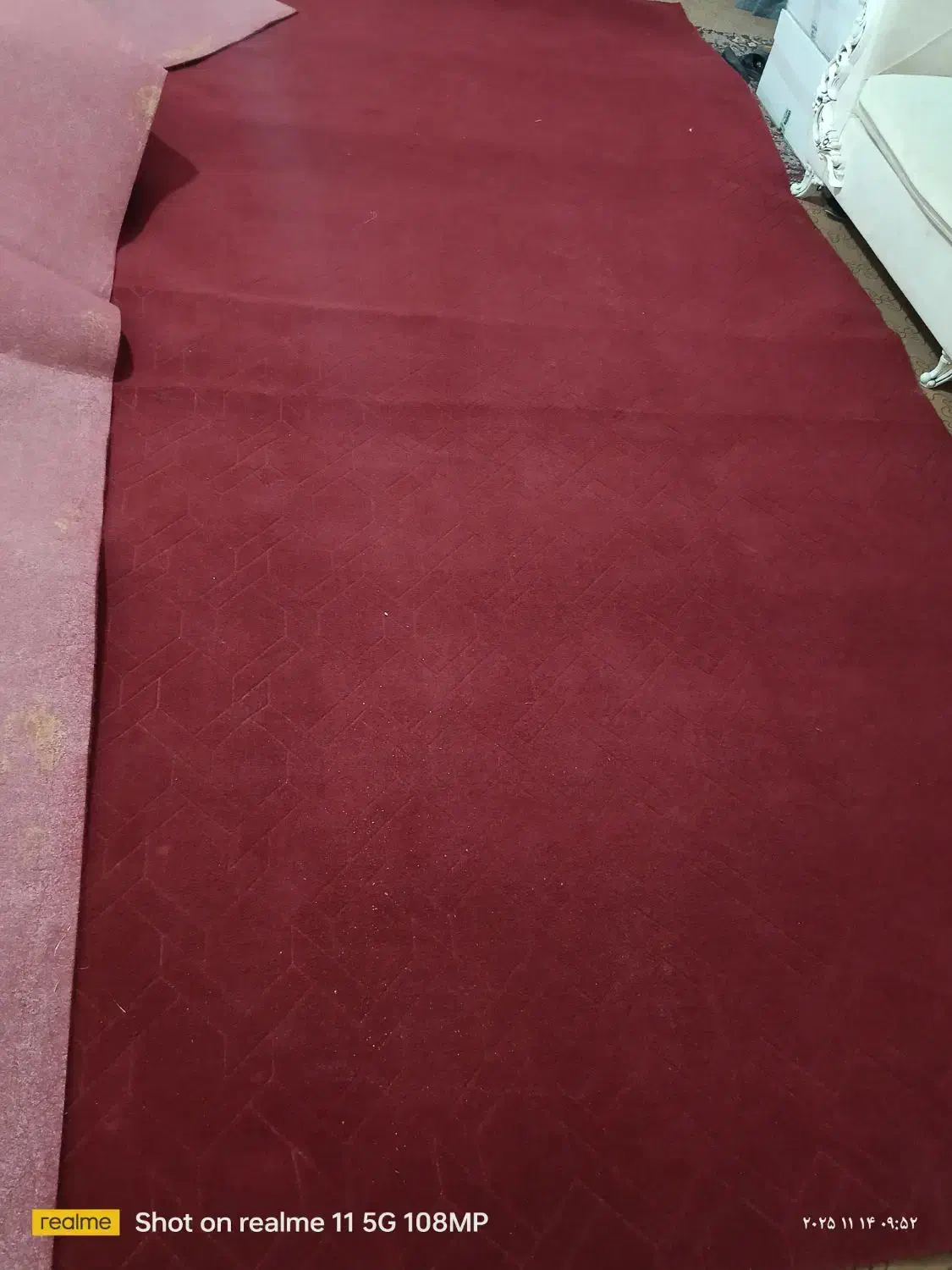 موکت|موکت|زاهدان, |دیوار