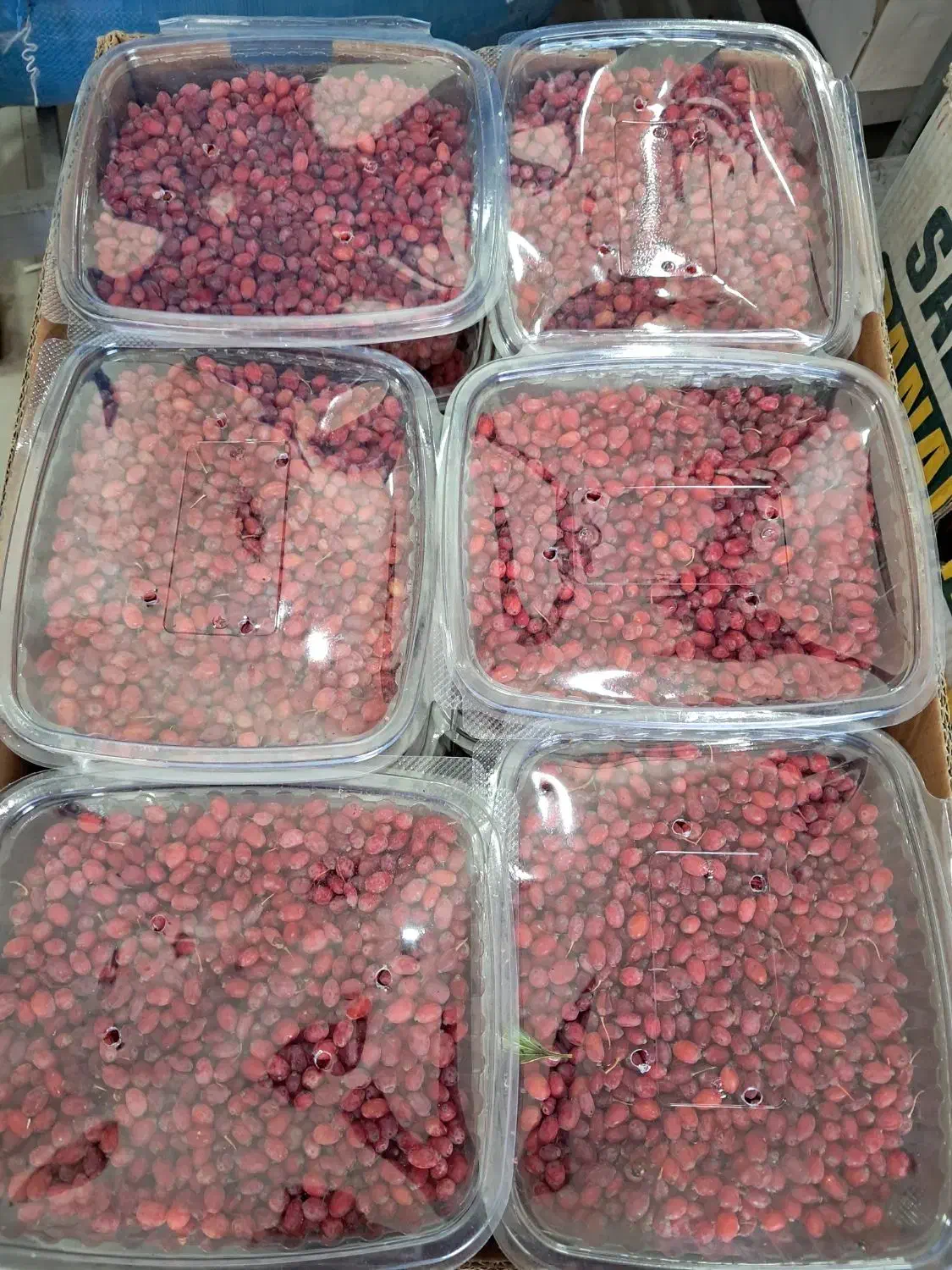 زرشک دانه تازه امسالی|خوردنی و آشامیدنی|مشهد, مصلی (کارمندان اول)|دیوار