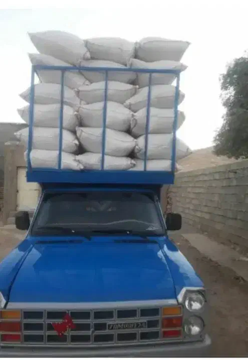 کاه|لوازم جانبی حیوانات|ایلام, |دیوار