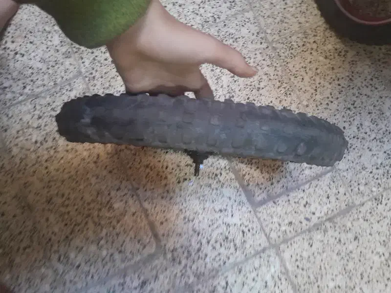 لاستیک دوچرخه ۱۶|دوچرخه، اسکیت، اسکوتر|قم, علی آباد سعدگان|دیوار