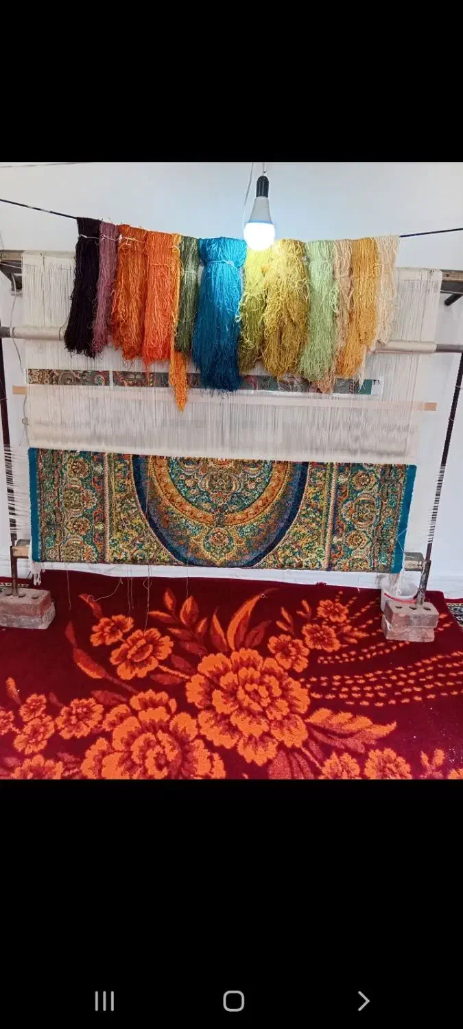 فروشی|فرش|بناب, |دیوار