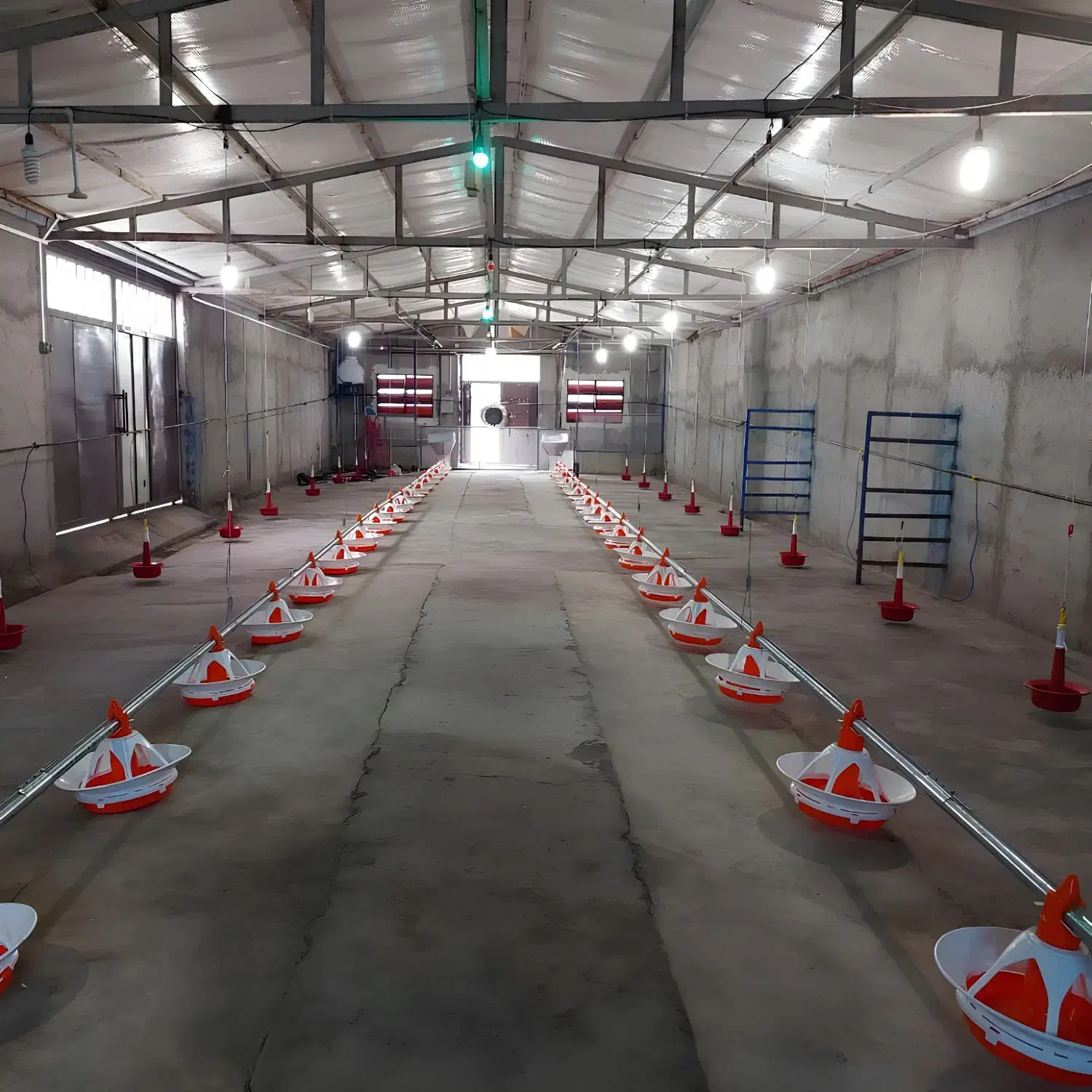 تجهیزات پرورش (بوقلمون)|لوازم جانبی حیوانات|میانه, |دیوار