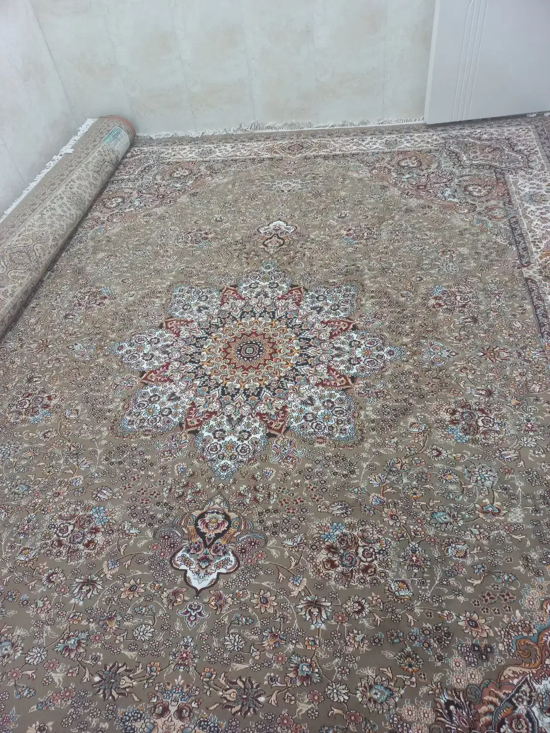 قالی|فرش|بافق, |دیوار