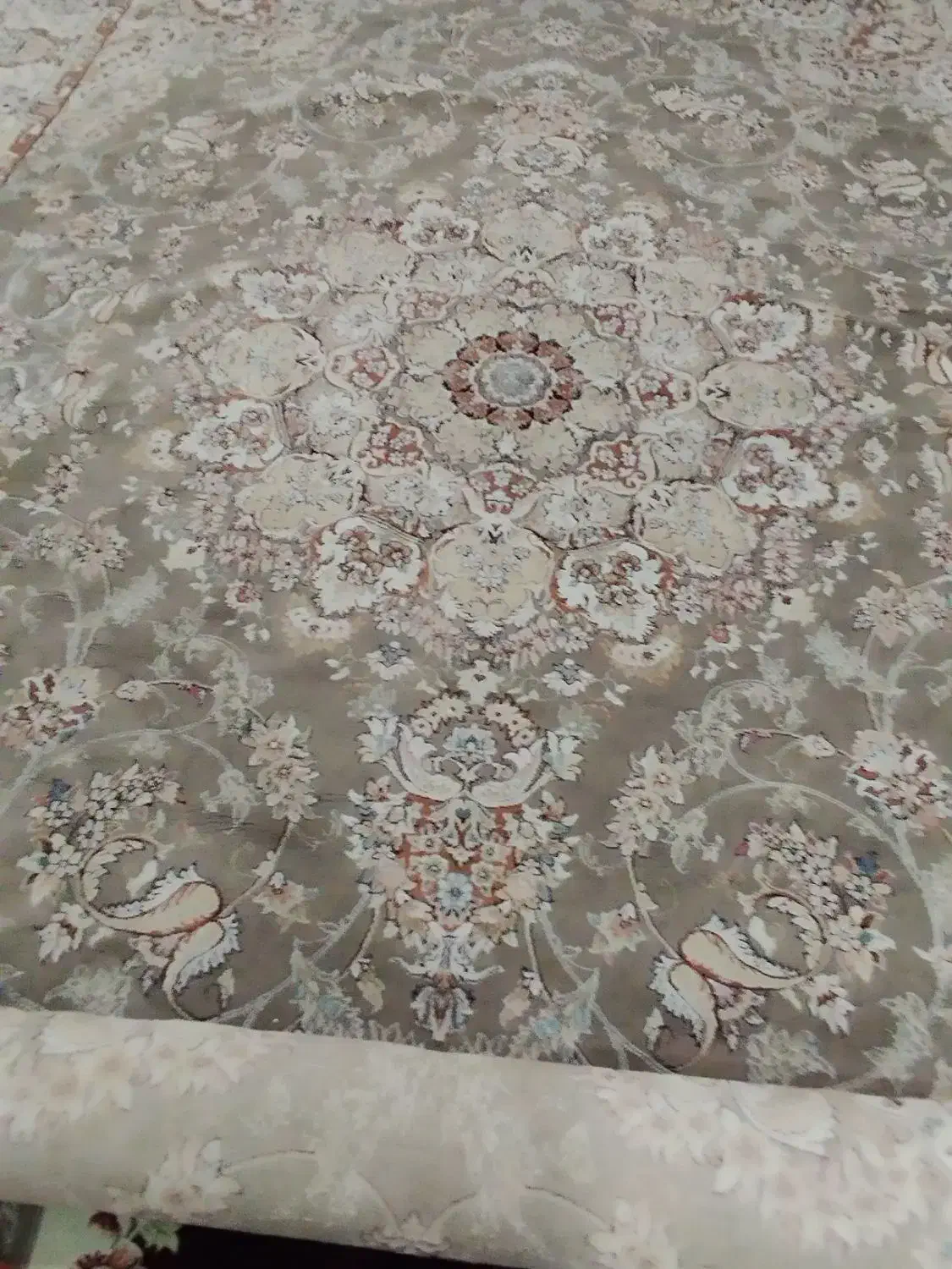 فرش|فرش|قم, شهر قائم|دیوار